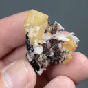 Wulfenite with Quartz, Goethite, Duftite - image 2