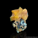 Wulfenite with Shattuckite, and Duftite - image 3