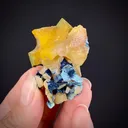Wulfenite with Shattuckite, and Duftite - image 1