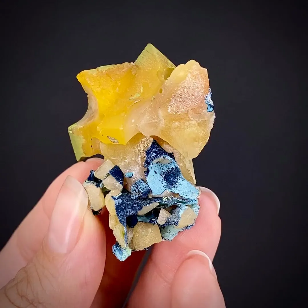 Wulfenite with Shattuckite, and Duftite - image 1