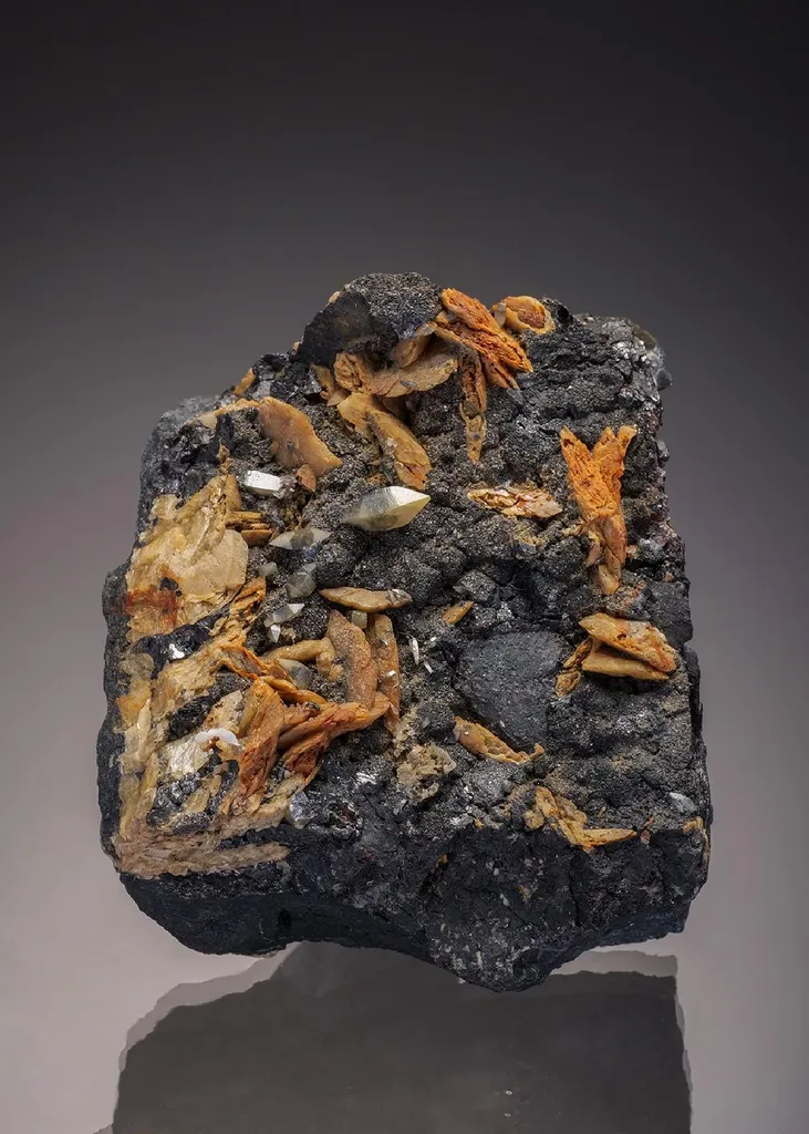 Wulfenite with Siderite image