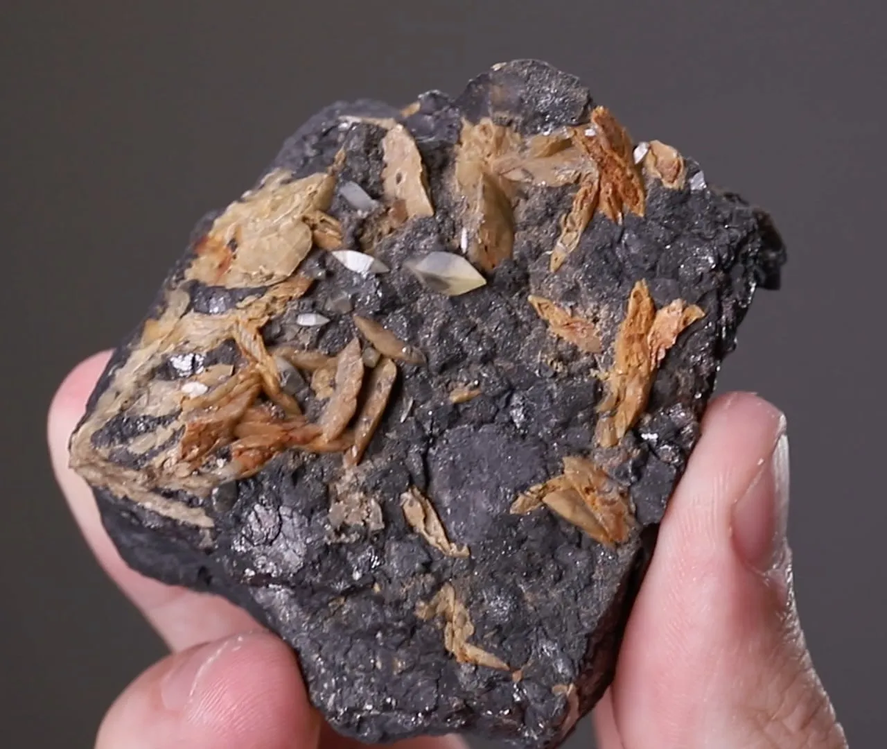 Wulfenite with Siderite - image 2