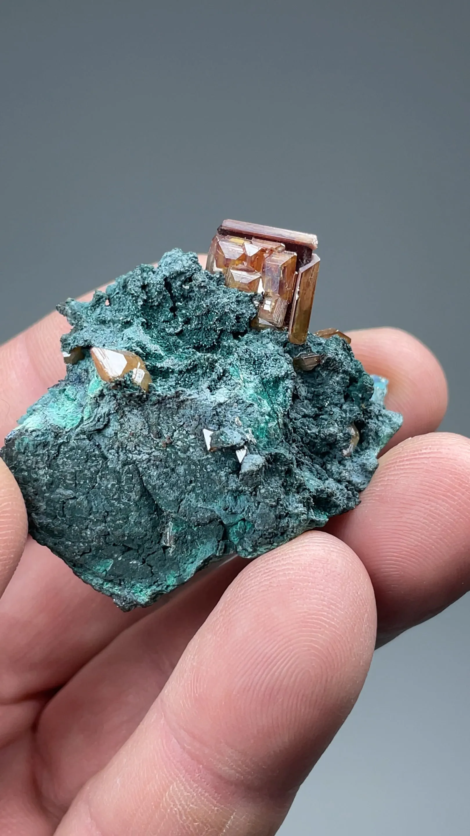 Wulfenite with Tsumebite - image 2