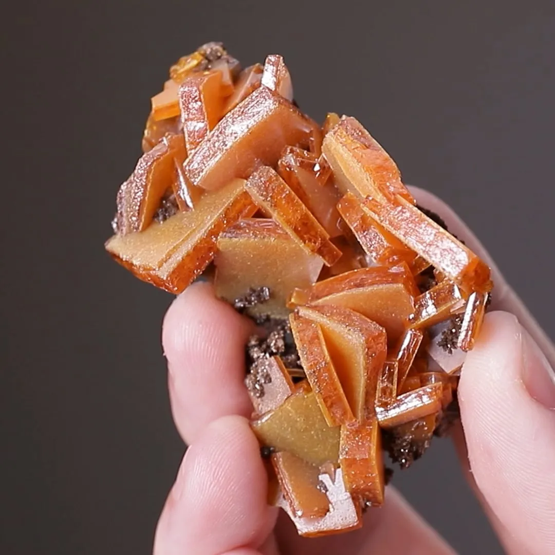 Wulfenite with Vanadinite and Descloizite - image 2