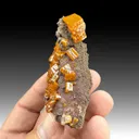 Wulfenite with Vanadinite - image 1