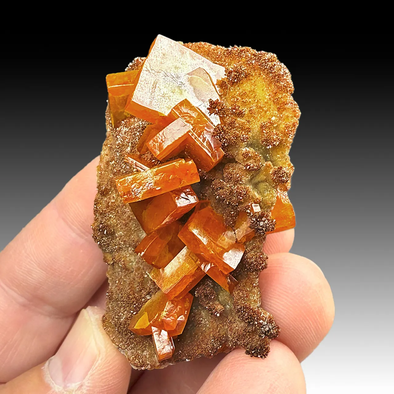 Wulfenite with Vanadinite, Calcite - image 2