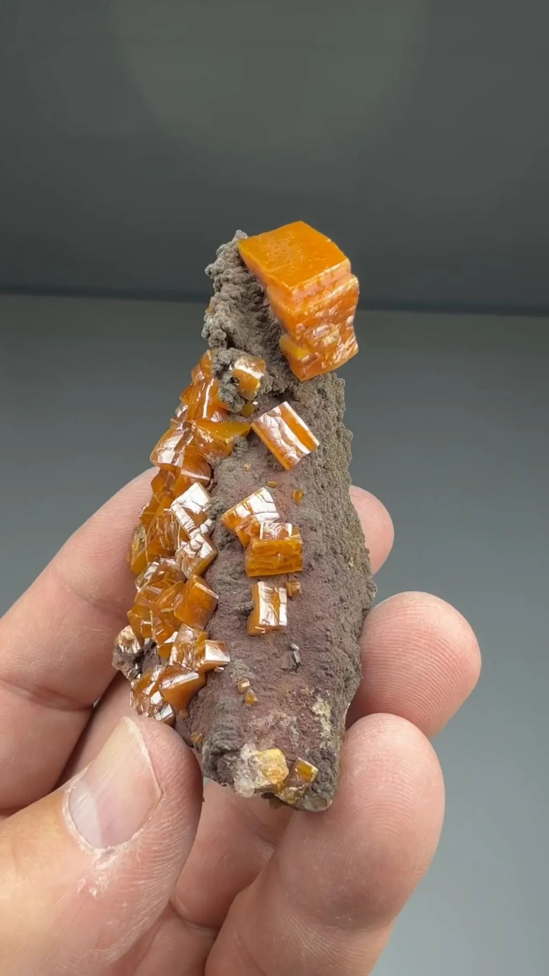 Wulfenite with Vanadinite - image 2