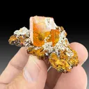 Wulfenite with Willemite - image 1