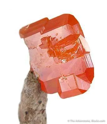 Wulfenite (World Class Miniature!) - image 3