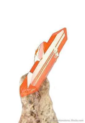 Wulfenite (World Class Miniature!) - image 2