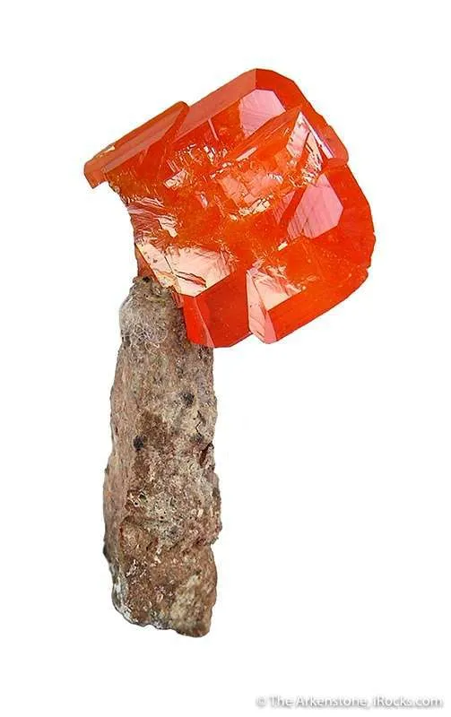 Wulfenite (World Class Miniature!) image