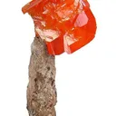 Wulfenite (World Class Miniature!) - image 1