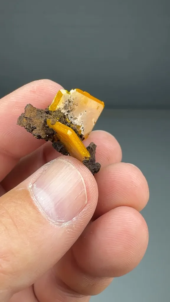 Wulfenite (WUL-0013) image