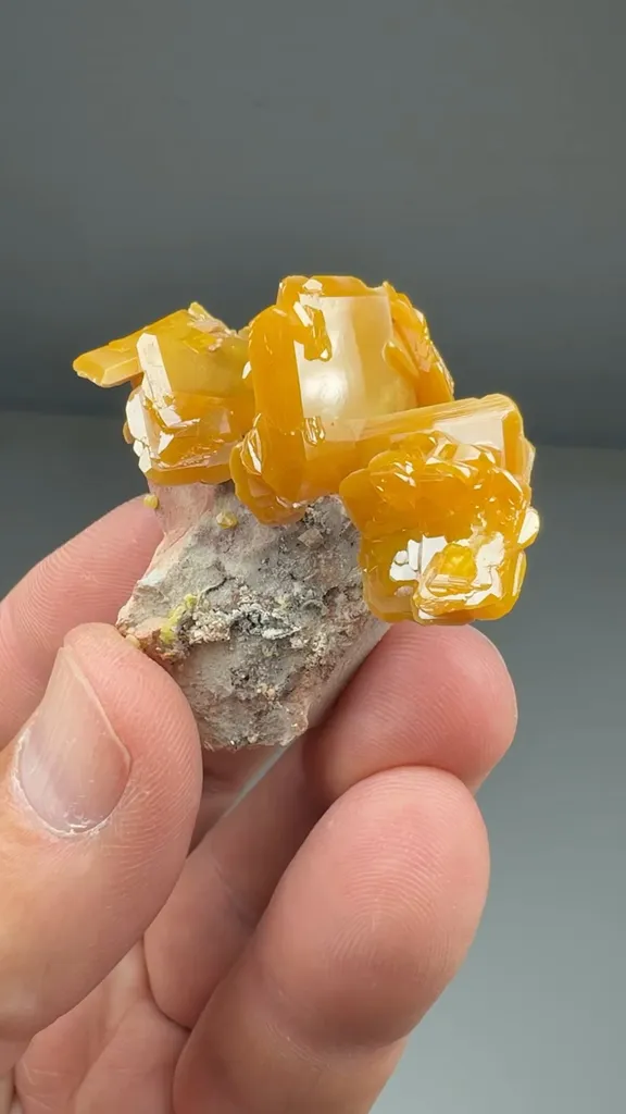 Wulfenite (WUL-18) image