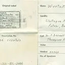 Wurtzite on Quartz - image 10