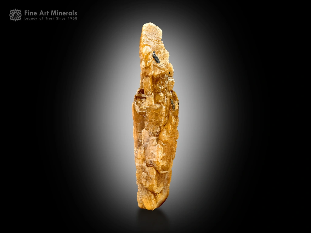 Xenotime from Zagi Mountain, Hameed Abad Kafoor Dheri, Khyber Pakhtunkhwa Province, Pakistan image