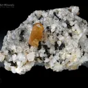 Xenotime with Aegirine on Matrix from Zagi Pakistan - image 2