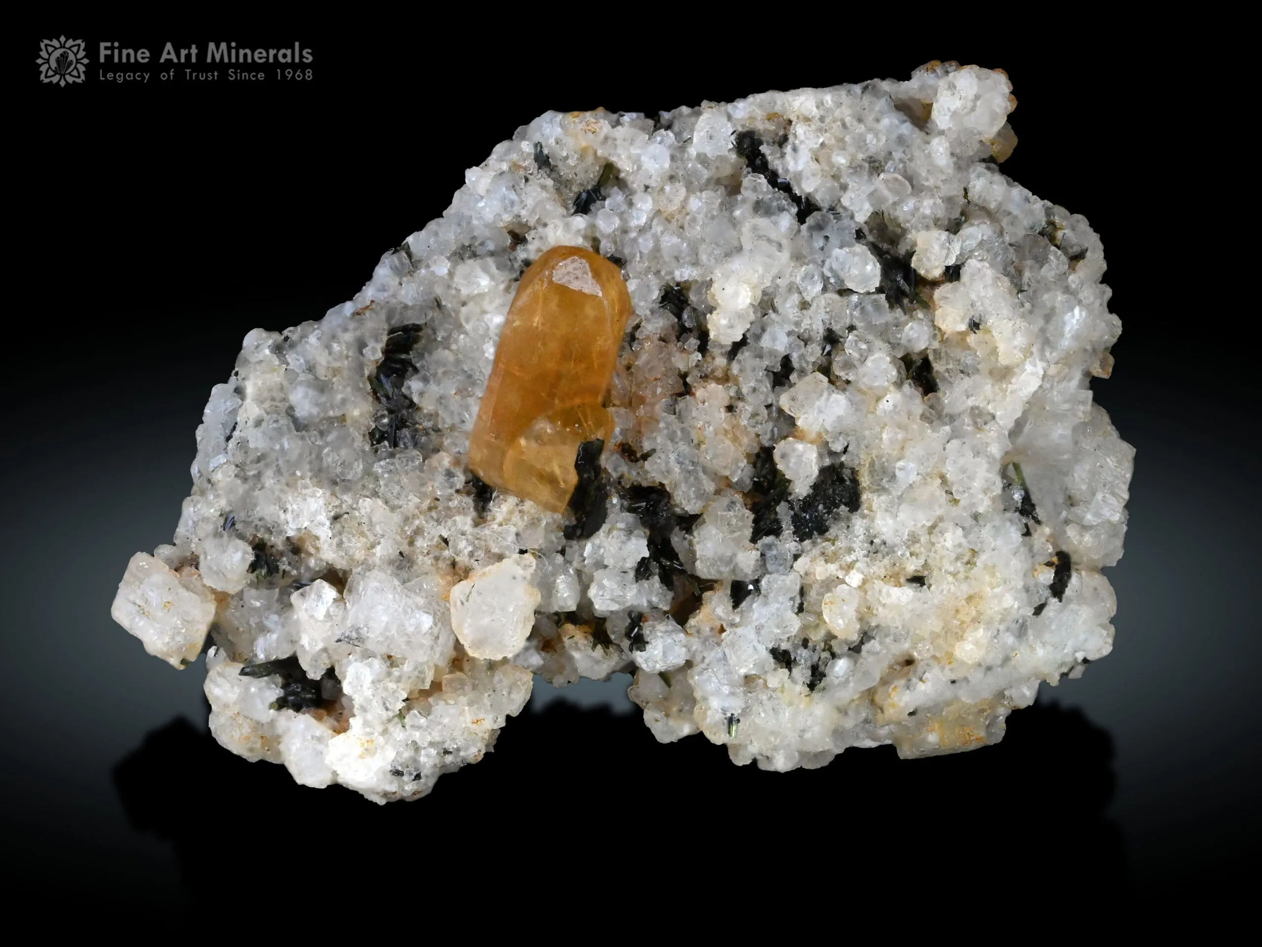 Xenotime with Aegirine on Matrix from Zagi Pakistan - image 2