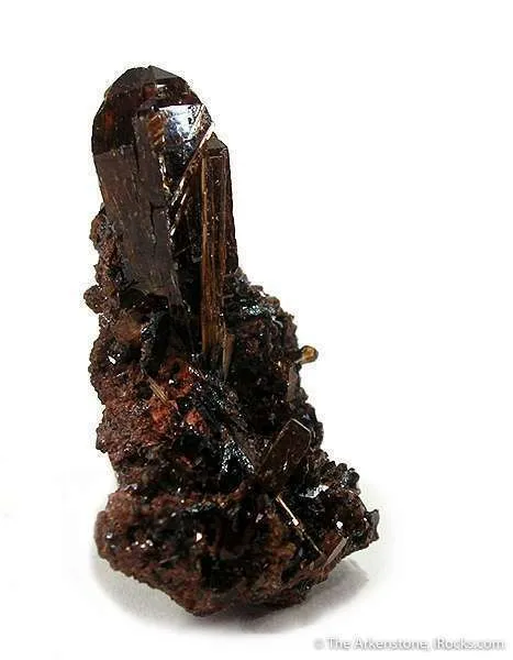 Xenotime With Rutile image