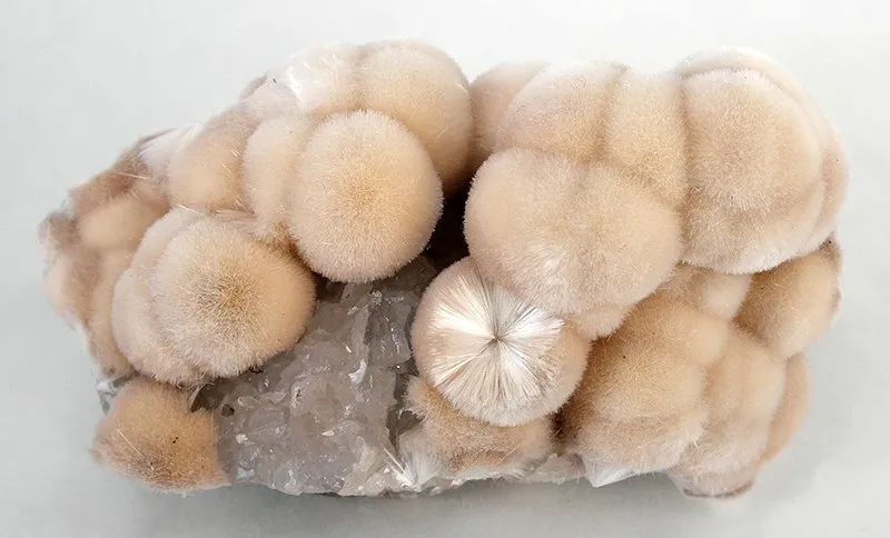 Xonotlite, Apophyllite image