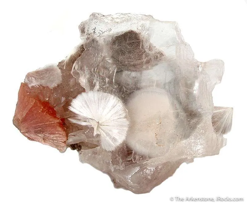 Xonotlite in Selenite With Inesite image