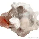 Xonotlite in Selenite With Inesite - image 1