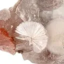 Xonotlite in Selenite With Inesite - image 3