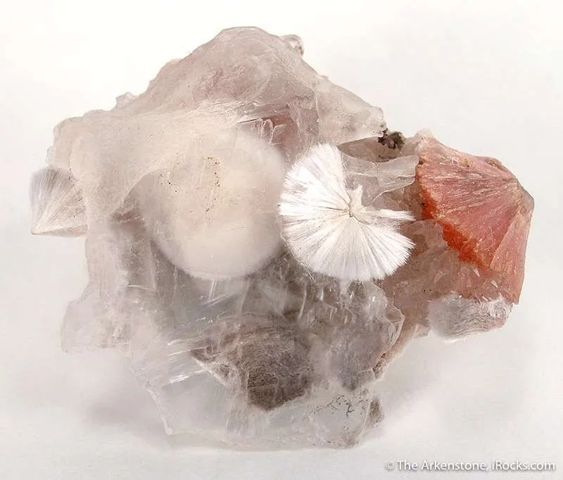 Xonotlite in Selenite With Inesite - image 2