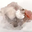 Xonotlite in Selenite With Inesite - image 2
