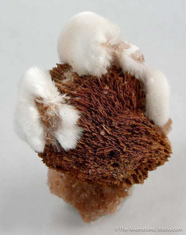 Xonotlite on Inesite image