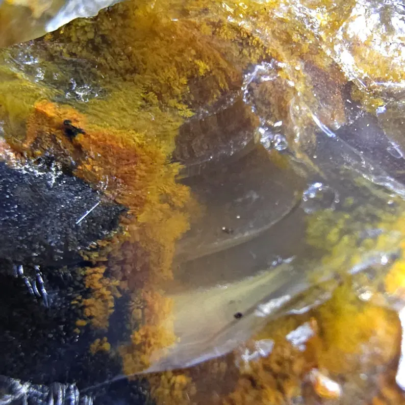 XXL Honey Moss Opal from Türkiye 17.4 kg - image 8