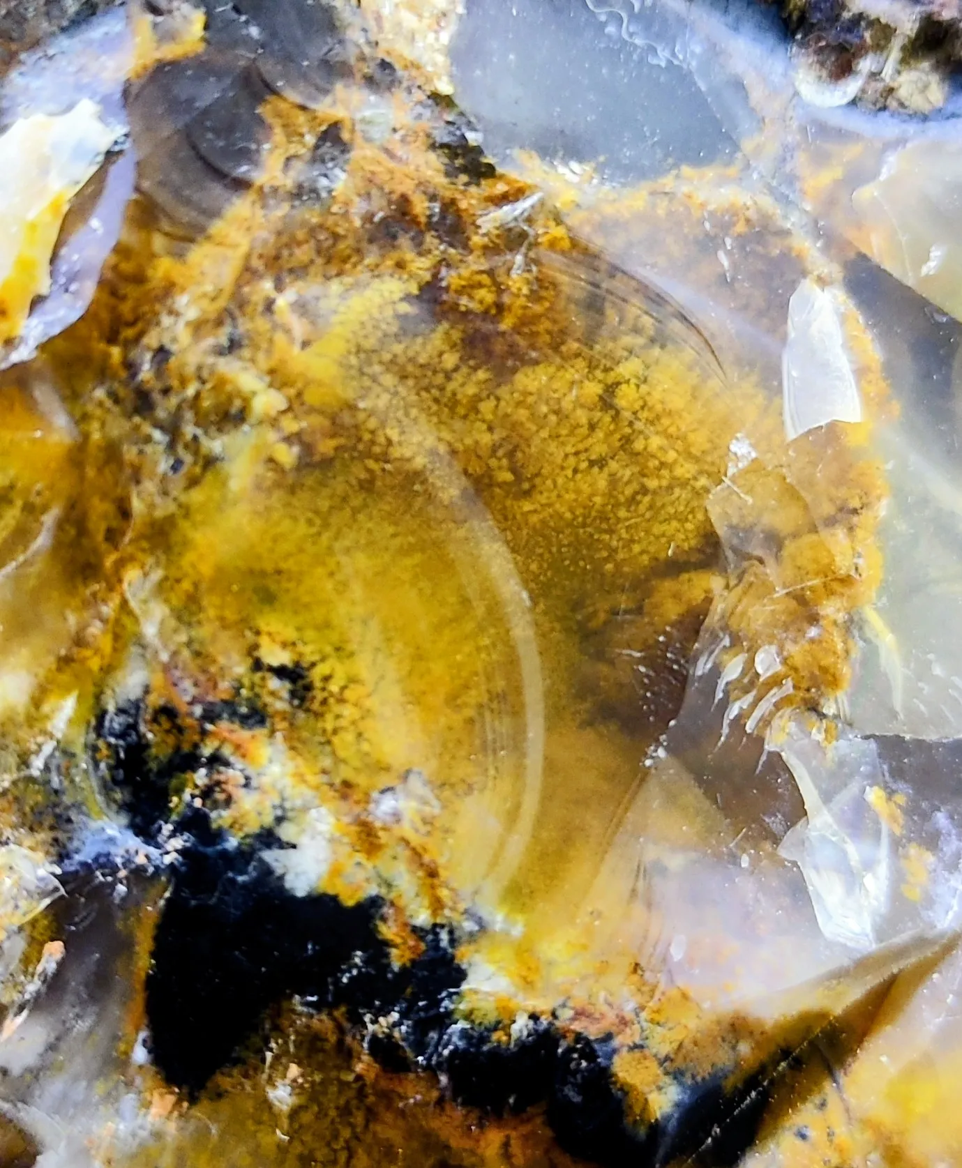 XXL Honey Moss Opal from Türkiye 17.4 kg - image 5