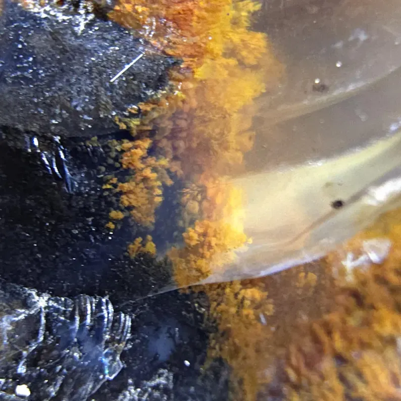 XXL Honey Moss Opal from Türkiye 17.4 kg - image 7