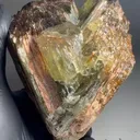 specimen video