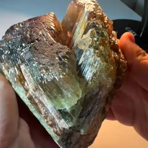 specimen video
