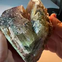 specimen video