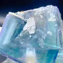 specimen video