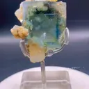 specimen video