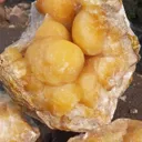 yellow bartyoidal - image 3