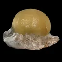 Yellow Botryoidal Fluorite on Amethyst Matrix – Indian Mineral Specimen from Madhya Pradesh - image 5