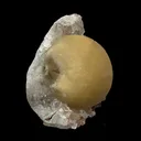 Yellow Botryoidal Fluorite on Amethyst Matrix – Indian Mineral Specimen from Madhya Pradesh - image 4