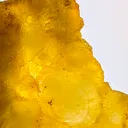 Yellow Brucite with Cluster of Concentric Radial Growth - image 3