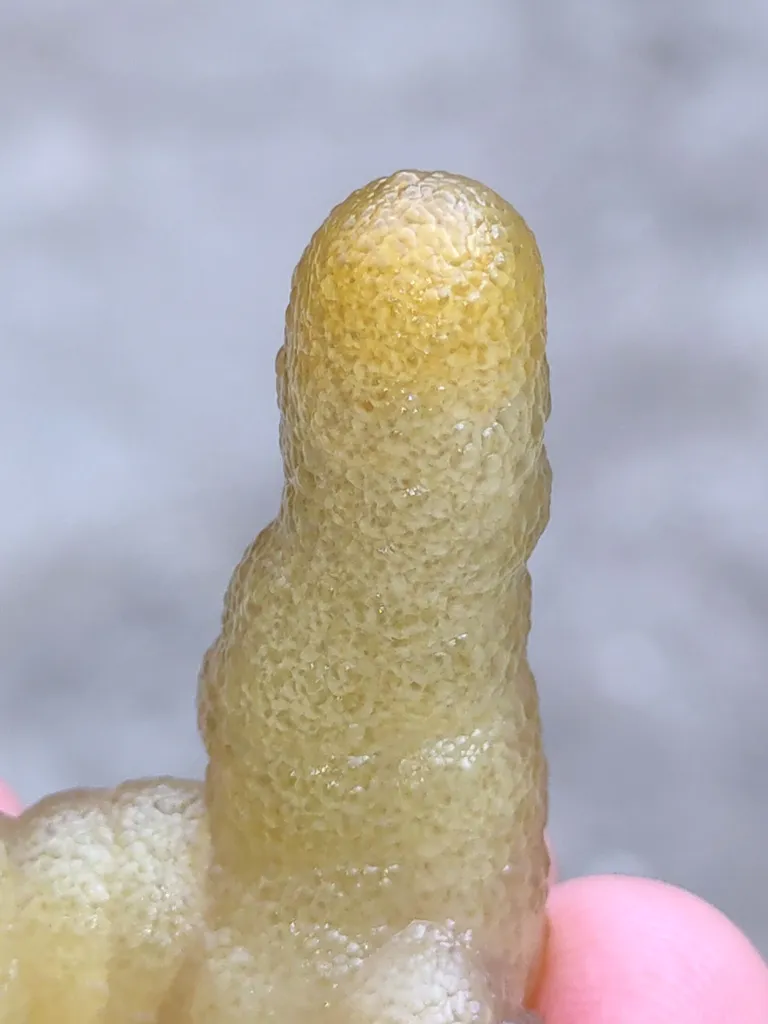 Yellow Chalcedony Specimen  Available for sale. - image 6