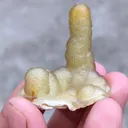 Yellow Chalcedony Specimen  Available for sale. - image 4