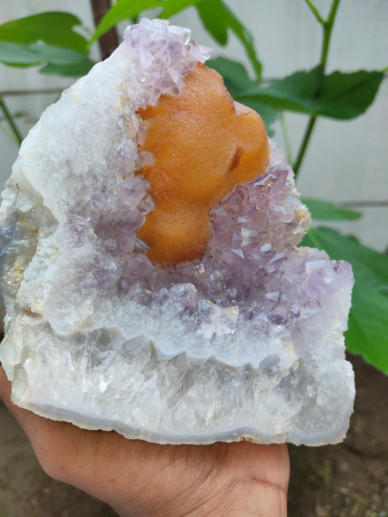 Yellow Fluorite on Amethyst with Quartz natural - image 8