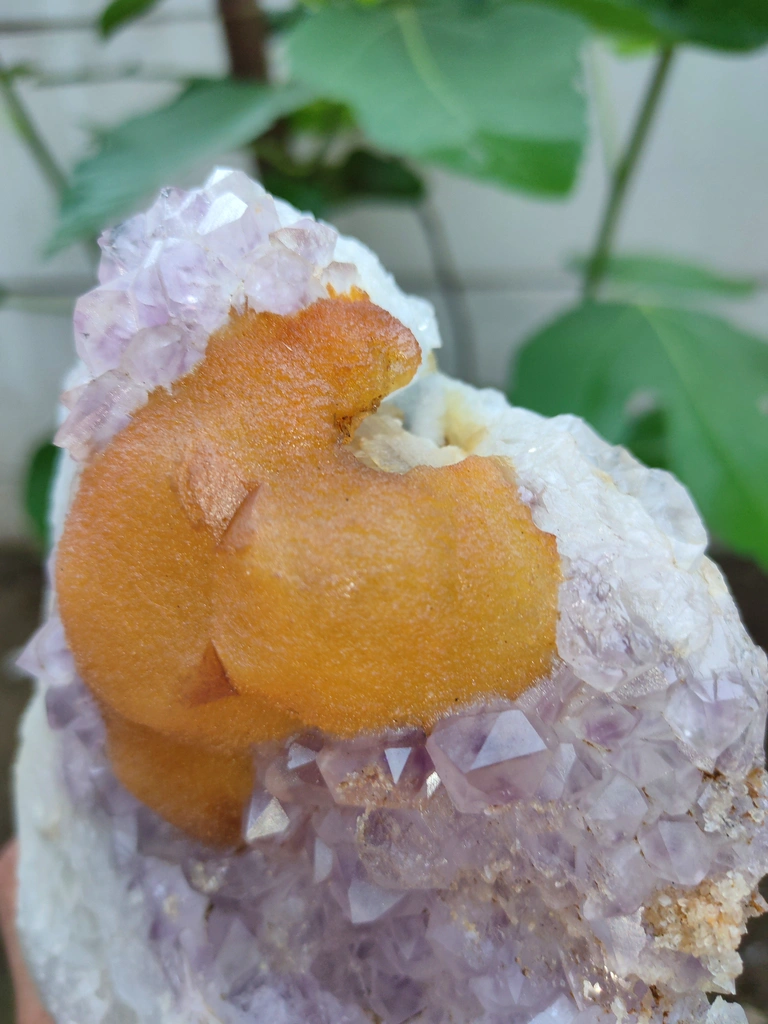 Yellow Fluorite on Amethyst with Quartz natural - image 4