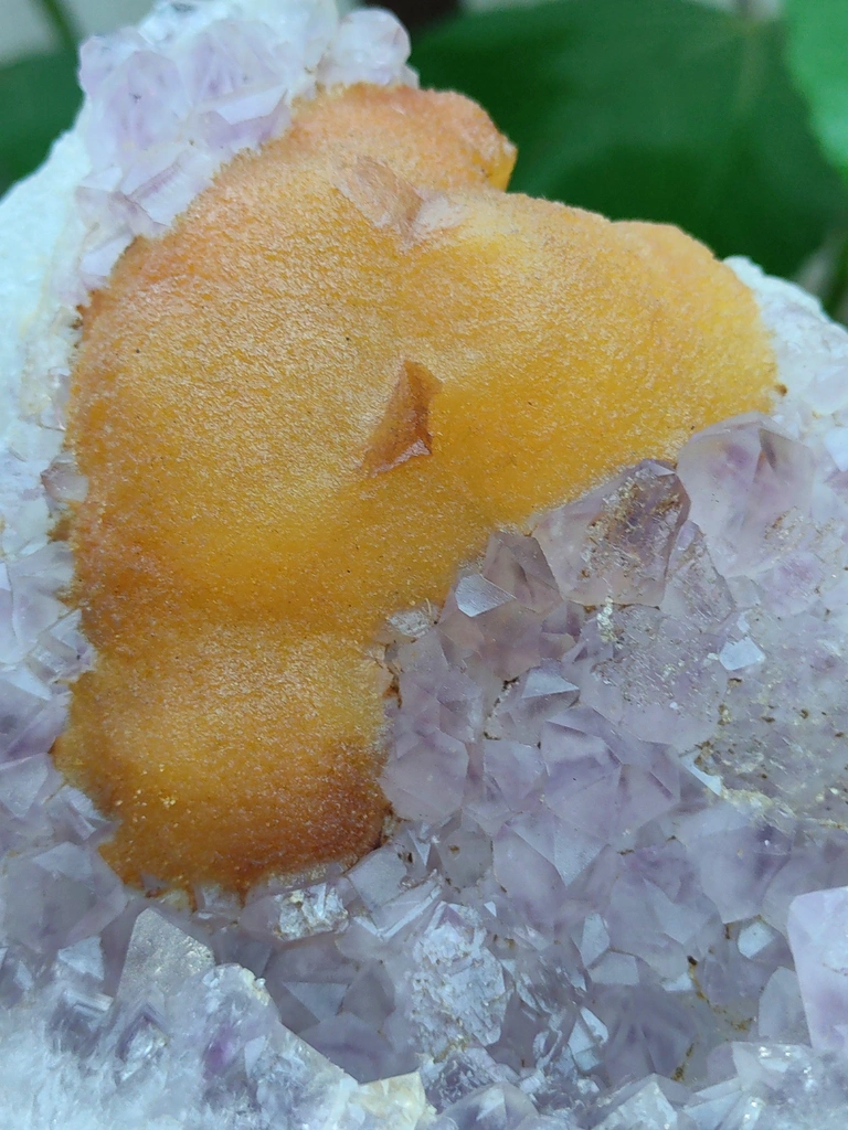 Yellow Fluorite on Amethyst with Quartz natural - image 5