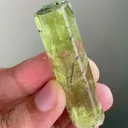 specimen video