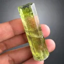 Yellow Heliodor Var Beryl Crysta with Schorl Tourmaline Inclusions Cellectors Crystal - image 6