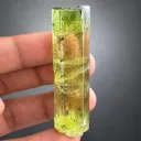 Yellow Heliodor Var Beryl Crysta with Schorl Tourmaline Inclusions Cellectors Crystal - image 1